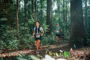 BIB: 
                            <button type="button" onclick="openModal(26076769)" class="btn btn-primary btn-sm float-right btn-popup" data-toggle="modal" data-target=".modal-high-quality">
                        <i class="fas fa-shopping-cart"></i> Add to Cart
                    </button>
                                            <button type="button" onclick="isThisMe(26076769, true)" class="btn btn-success btn-sm float-right btn-popup btn-isme hidden" data-toggle="tooltip" data-placement="bottom" title="นี่คือรูปของคุณใช่ไหม คลิกที่นี่เพื่อเอาเข้าอัลบั้ม">
                        <i class="fas fa-plus"></i> Add to album
                    </button>
                    <button type="button" onclick="isThisMe(26076769, false)" class="btn btn-warning btn-sm float-right btn-popup btn-isnotme hidden">
                        <i class="fas fa-ban"></i> Remove from album
                    </button>